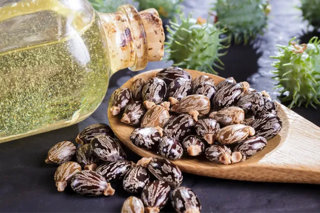 Castor Oil