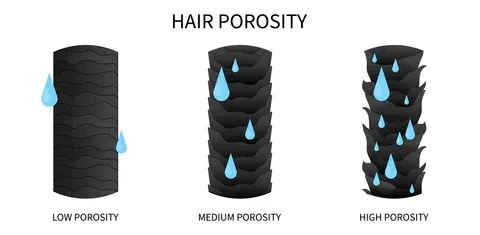 The Spray Bottle Test