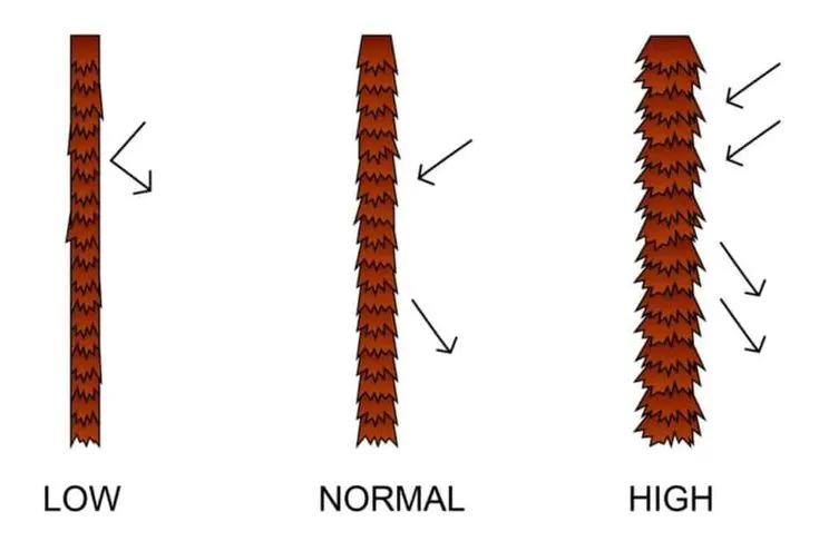 Types of Hair Porosity