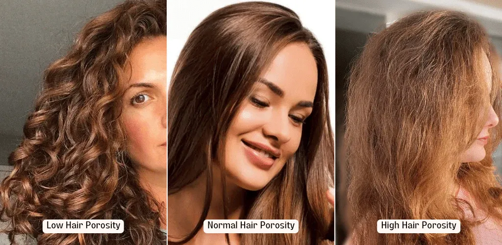 What Is Hair Porosity