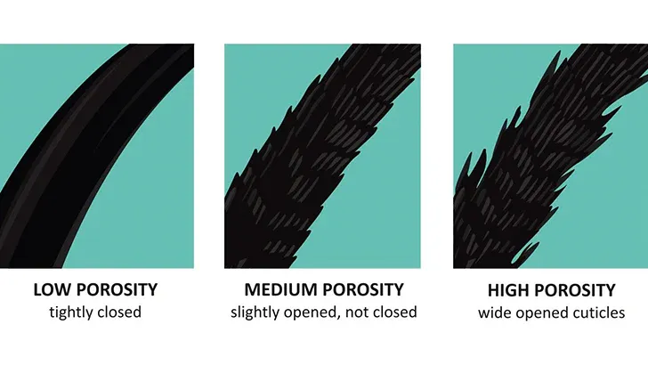 What is Low Porosity Hair