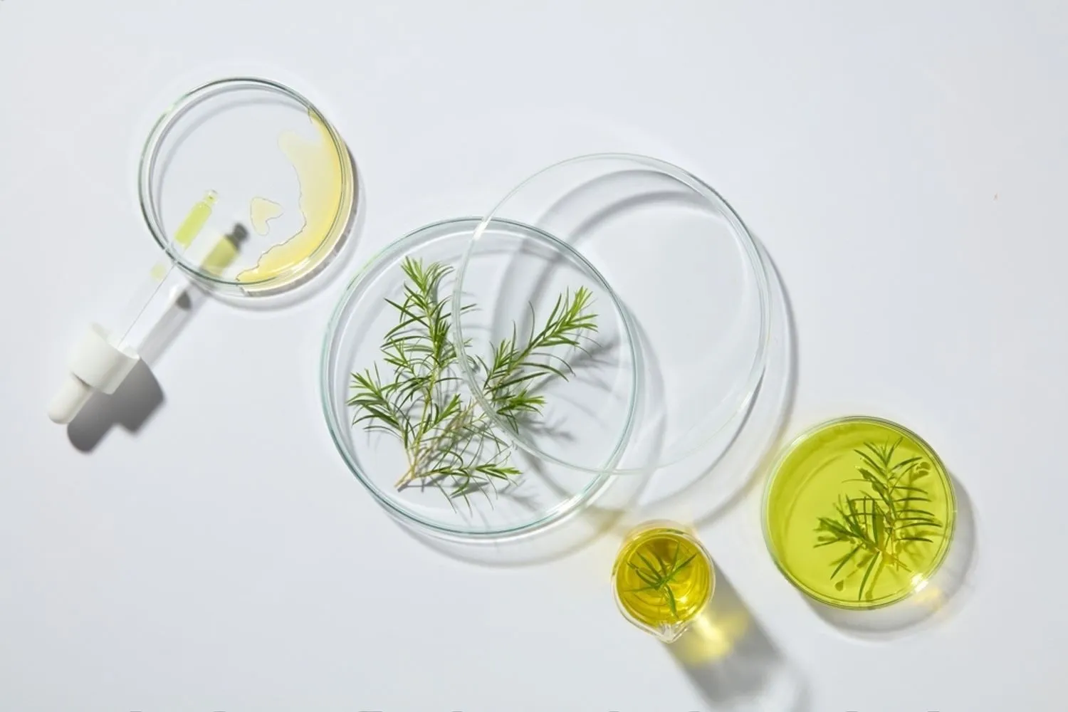 private label hair oil manufacturer
